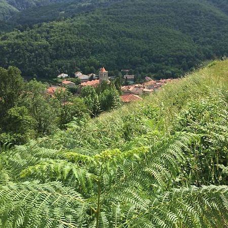 T2 Petite Terrasse Coeur De Ville Prats-de-Mollo-la-Preste Luaran gambar