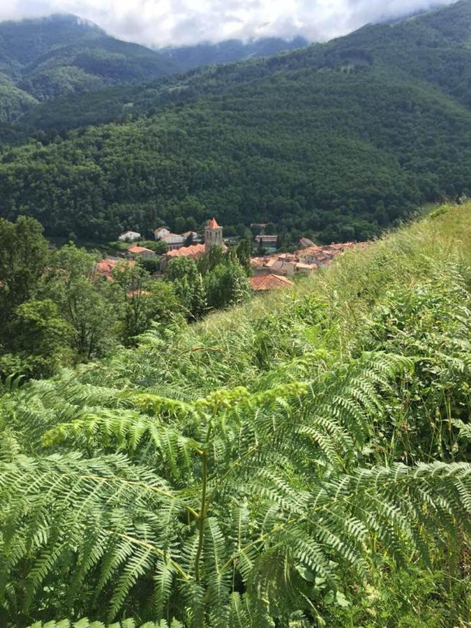 T2 Petite Terrasse Coeur De Ville Prats-de-Mollo-la-Preste Luaran gambar